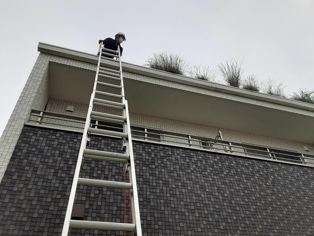 梯子を掛け雨樋の草の調査